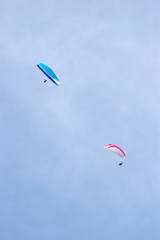 paragliders