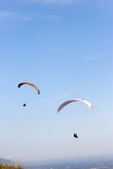 paragliders in the sky