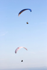 paragliders