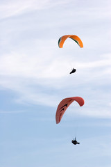 a couple of paragliders