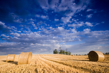 Bale in landscape