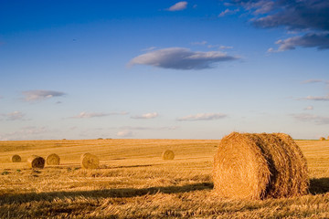 Bale in landscape