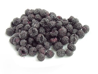 black raspberries