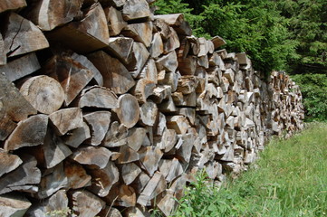 Holzstapel am Waldrand