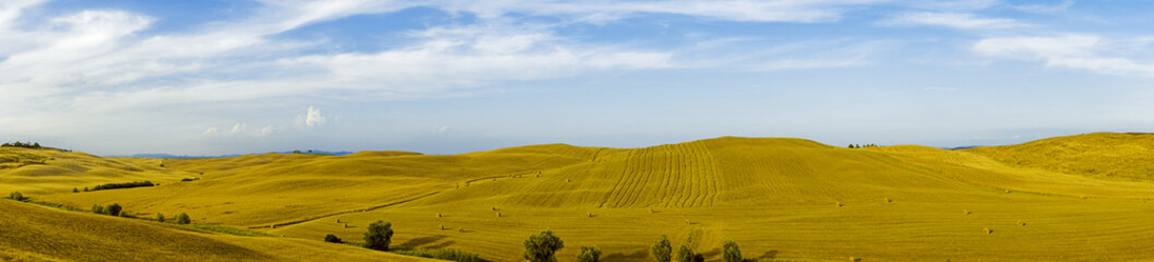 Getreidefelder Panorama
