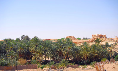 sculpture dans le désert
