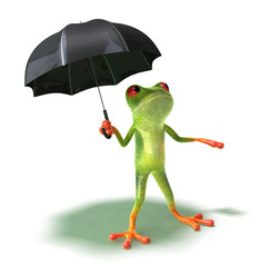 Grenouille a peur de la pluie