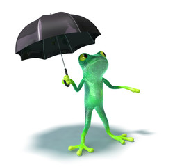 Grenouille a peur de la pluie