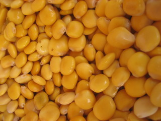lupins