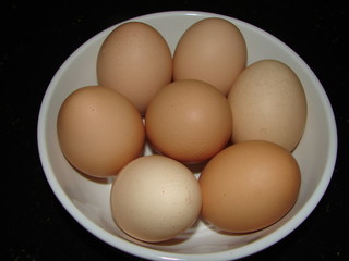 Seven Brown Eggs