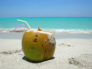 cocunut on a  beautiful Caribbean beach