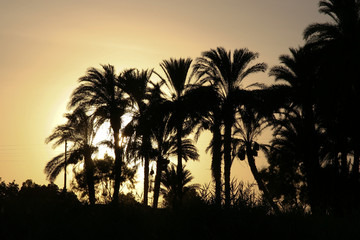 Sunset over the Nile