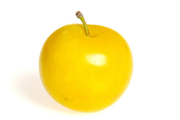 prune jaune