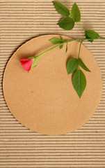 vintage cardboard with red rose