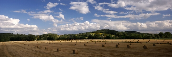 Obraz premium panorama de rouleaux de paille