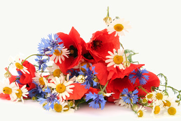 Wild summer flowers © Hallgerd