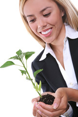 A pretty business woman holding a growing plant