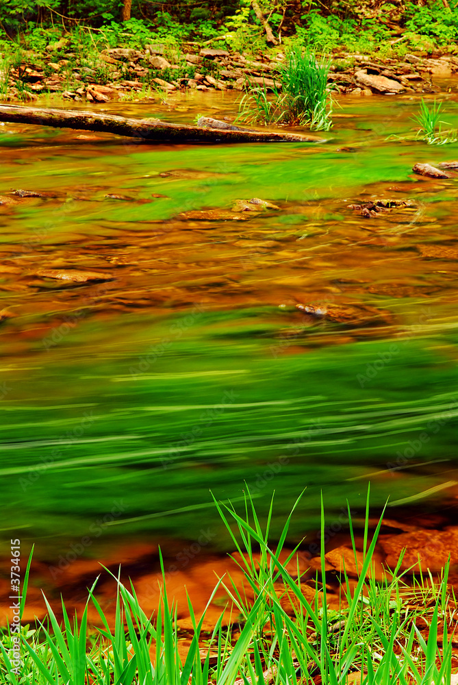 Wall mural Small river with rocky bottom flowing throught green forest