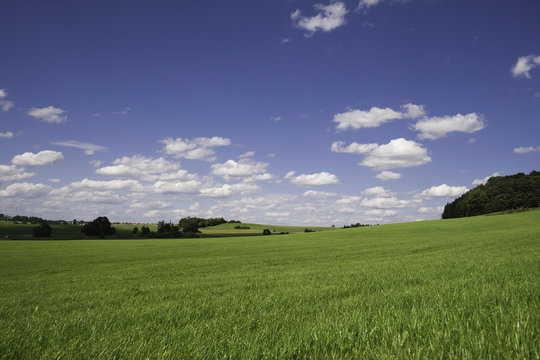 Wattenwolkiger Himmel mit gruner Wiese
