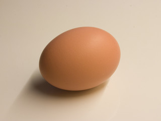 Egg