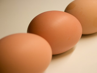 Eggs