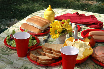 A picnic table in the park loadedf with food