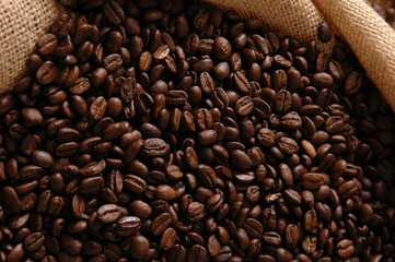 A burlap bag full of frewh whole coffee beans