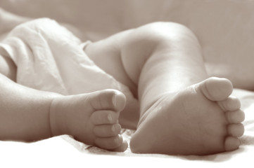 close up of baby feet, sepia