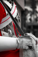 Royal Horse Guard, on Parliament Street, London