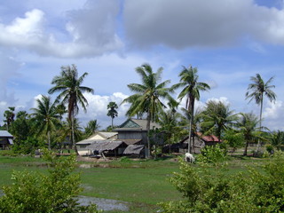 Fototapeta na wymiar Campagne et village au Cambodge