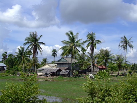 Campagne et village au Cambodge