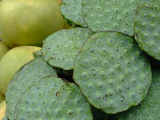Graines de lotus