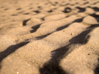 Fototapeta na wymiar piaszczysty brzeg
