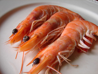 Crevettes
