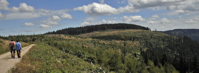 wandern im Schwarzwald