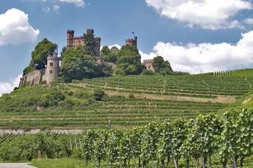 Fototapeta na wymiar Ortenberger Schloss