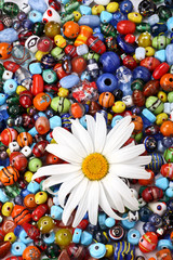 Colorful beads and daisy