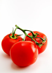 Delicious red tomatoes