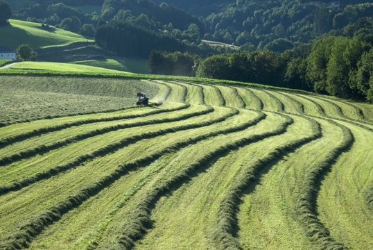 Traktor bei Heuernte im Waldviertel - Nieder&ouml;sterreich