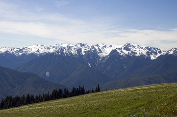 Hurricane Ridge at the Olympic National Park, Washington, USA