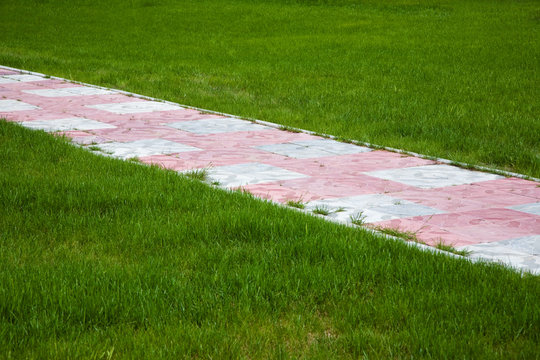 Lawn and footpath. Sanatorium near Novosibirsk, June 2007