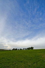 green field with blue sky
