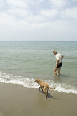 Senior man with his dog on the beach