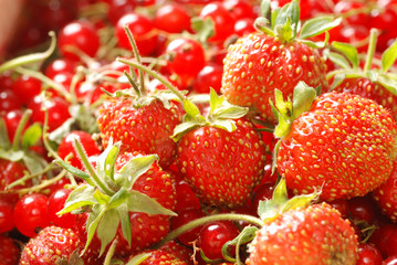 Red currant & strawberry in basket