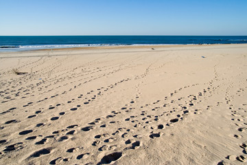 Sunny beach blue sky and golden sand