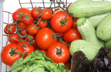 diferents fresh vegetables on iron basket with drops