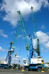grues