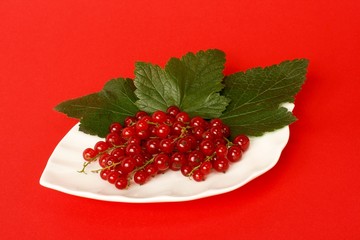 red currant