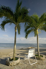 chair by the beach with two palm trees on the sea