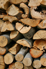 fire wood © Lana Langlois